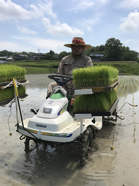 淡路島で田植えでした。