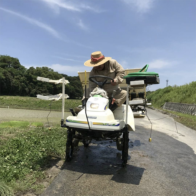 淡路島で田植えでした。